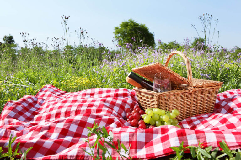 Picnic in Basilicata - cesto da picnic
