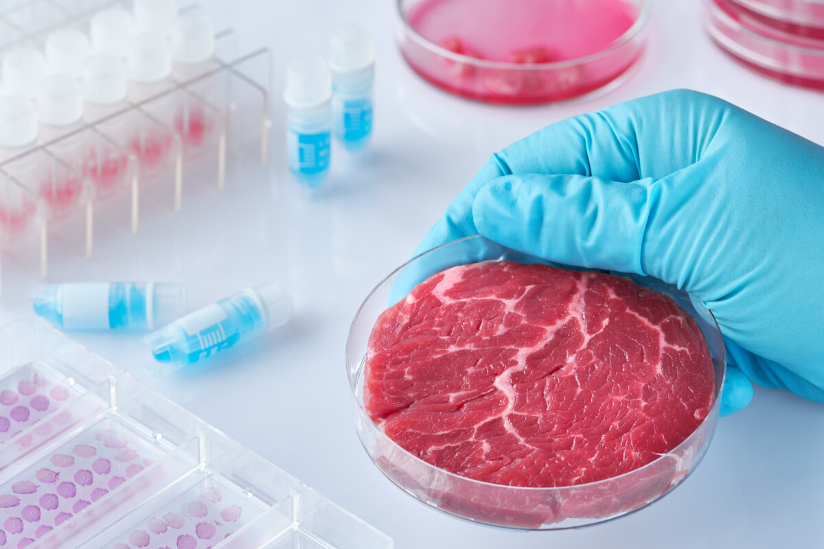 Carne coltivata