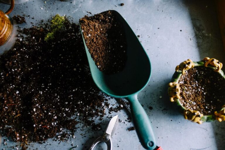 compost domestico - come si fa