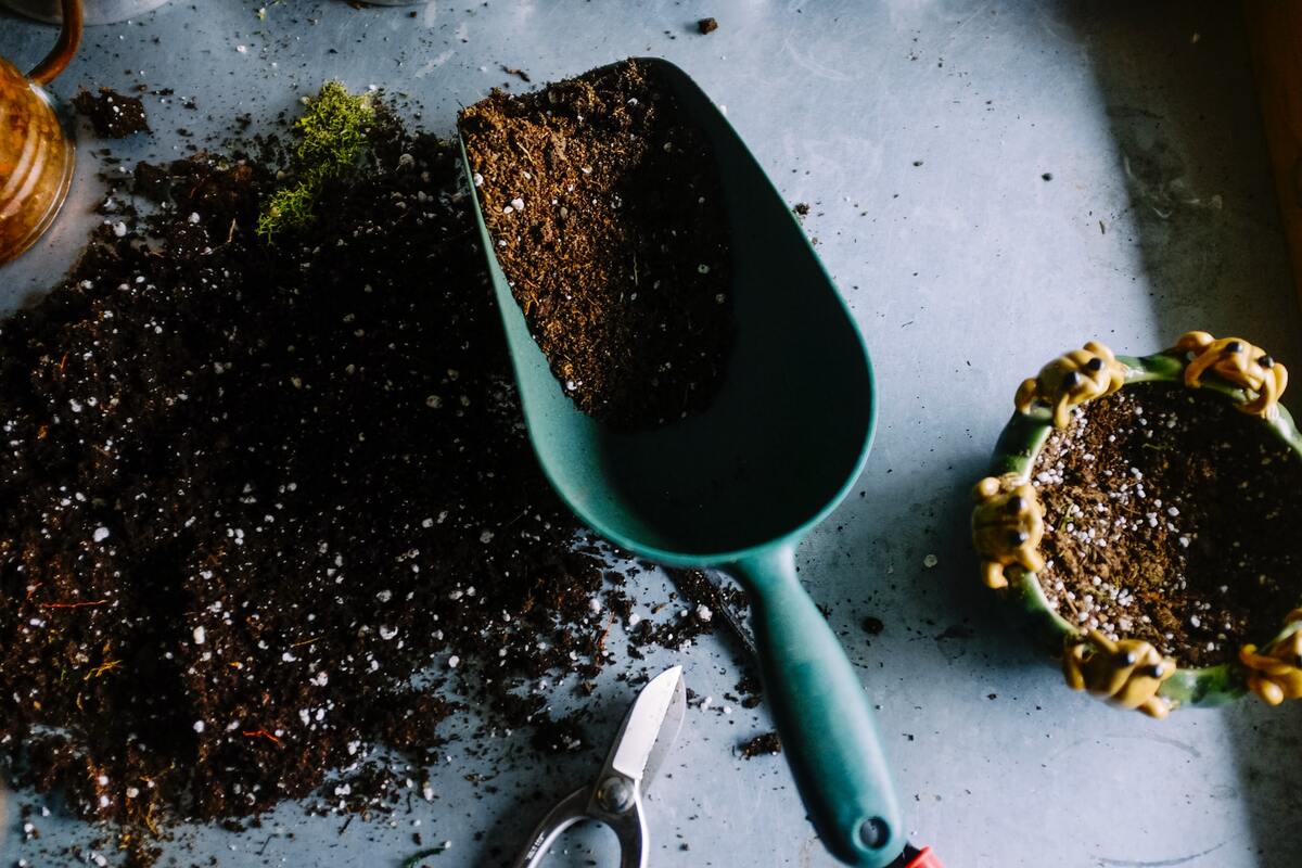 compost domestico - come si fa