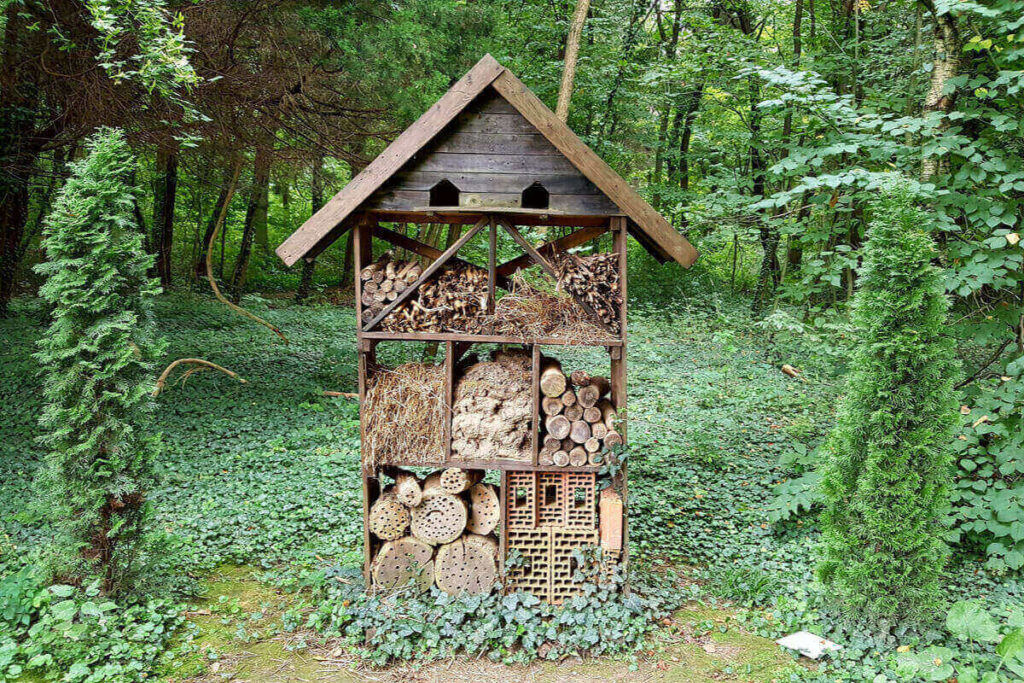 come costruire una casa per gli insetti