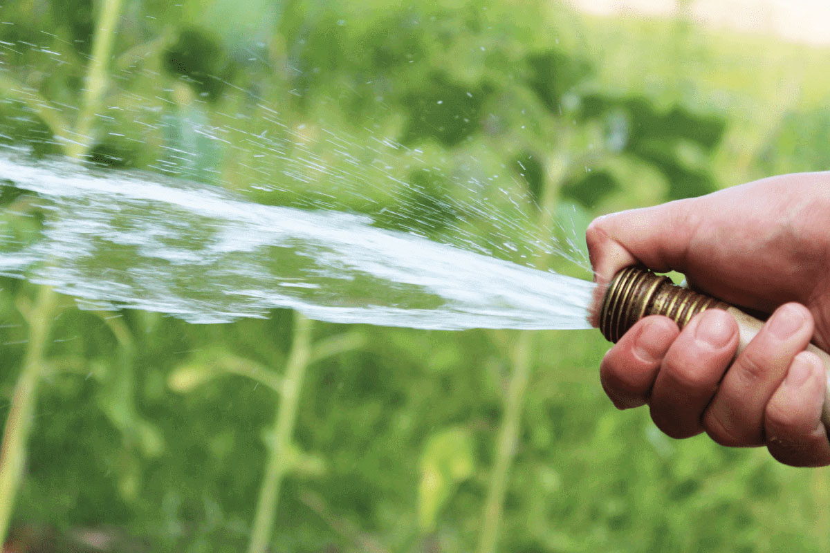 risparmiare acqua in giardino idee pratiche per tutti