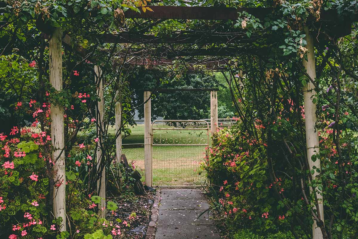 Giardino sostenibile 6 consigli per rendere l'outdoor ecologico