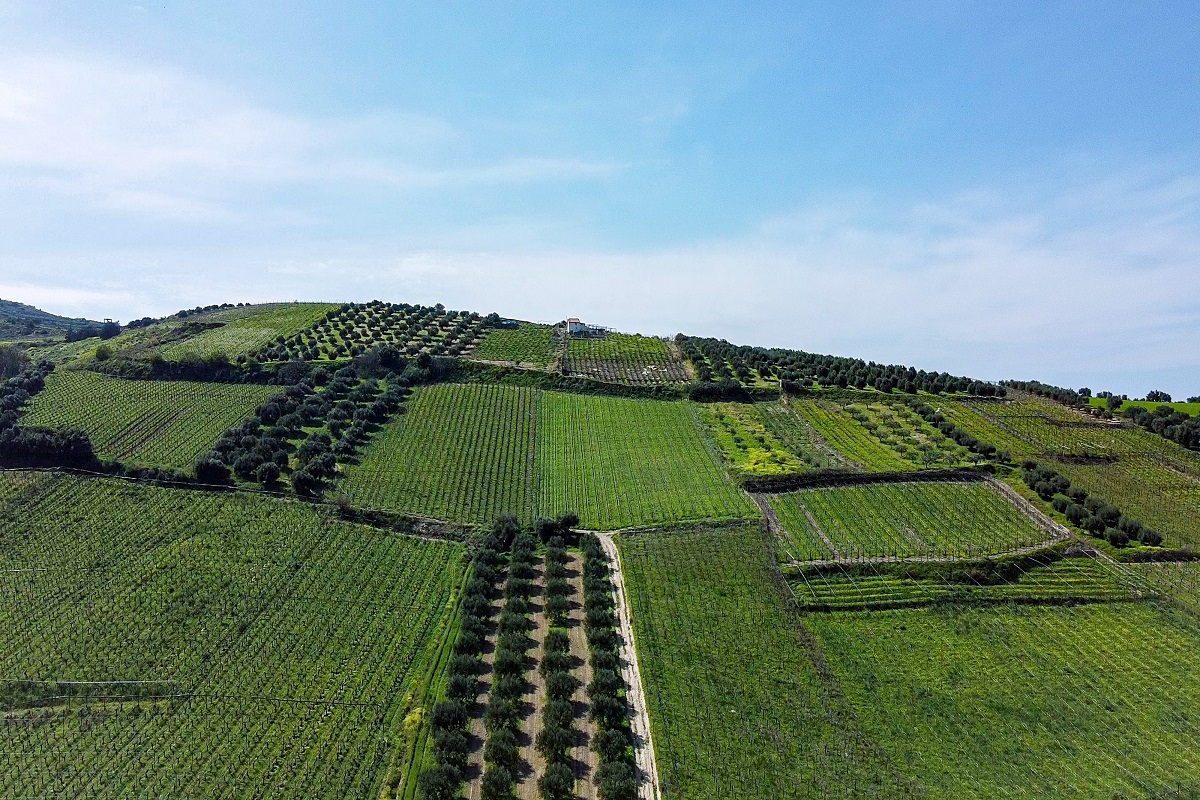 La nuova rete italiana dell’agrivoltaico sostenibile di Enea