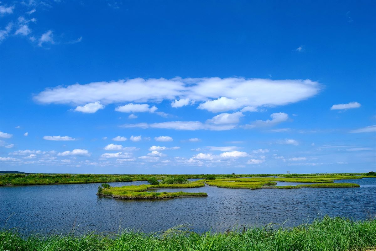 habitat naturale