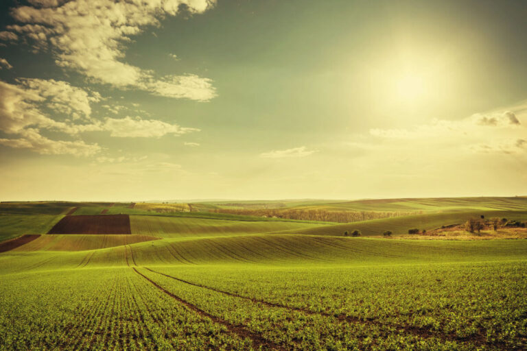 Quando si può costruire su un terreno agricolo una nuova costruzione