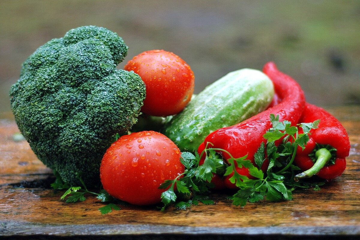 gastronomia sostenibile