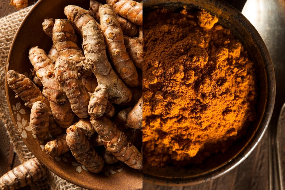 Pianta di curcuma - coltivazione e benefici