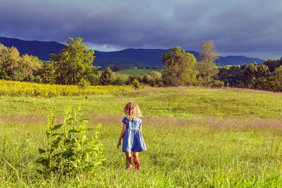 Vivere in campagna