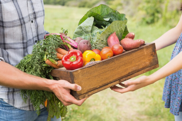 come acquistare online dai piccoli produttori agricoli