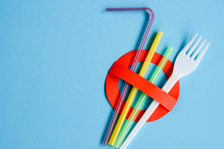 La plastica monouso è stata bandita in tutta Europa