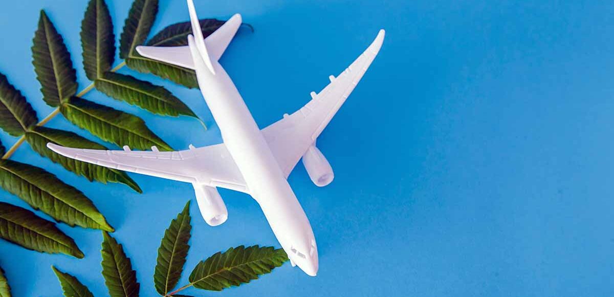 Le iniziative sostenibili nel mondo aerei alimentati con olio da cucina e tabacco