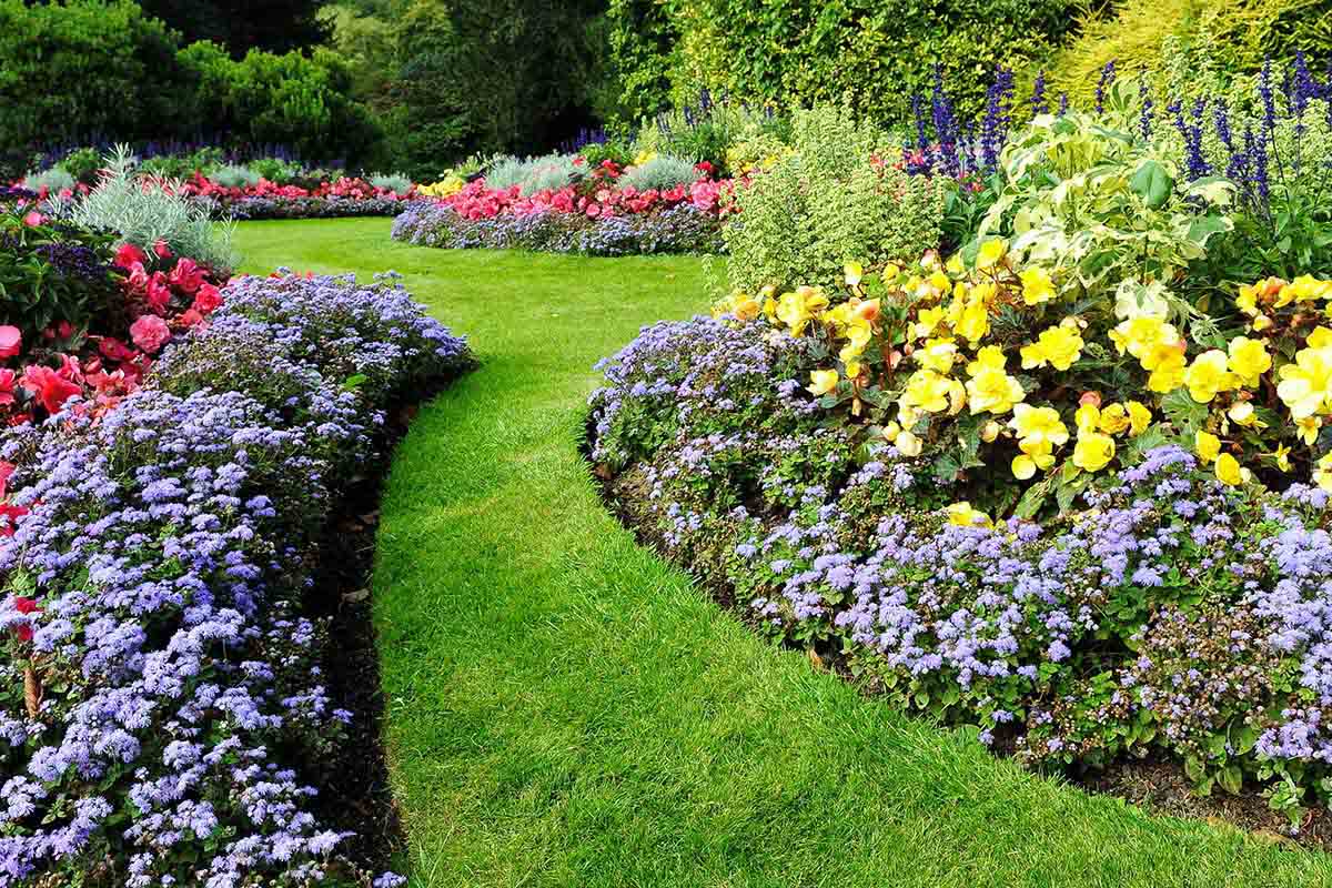 Come disporre i fiori in giardino