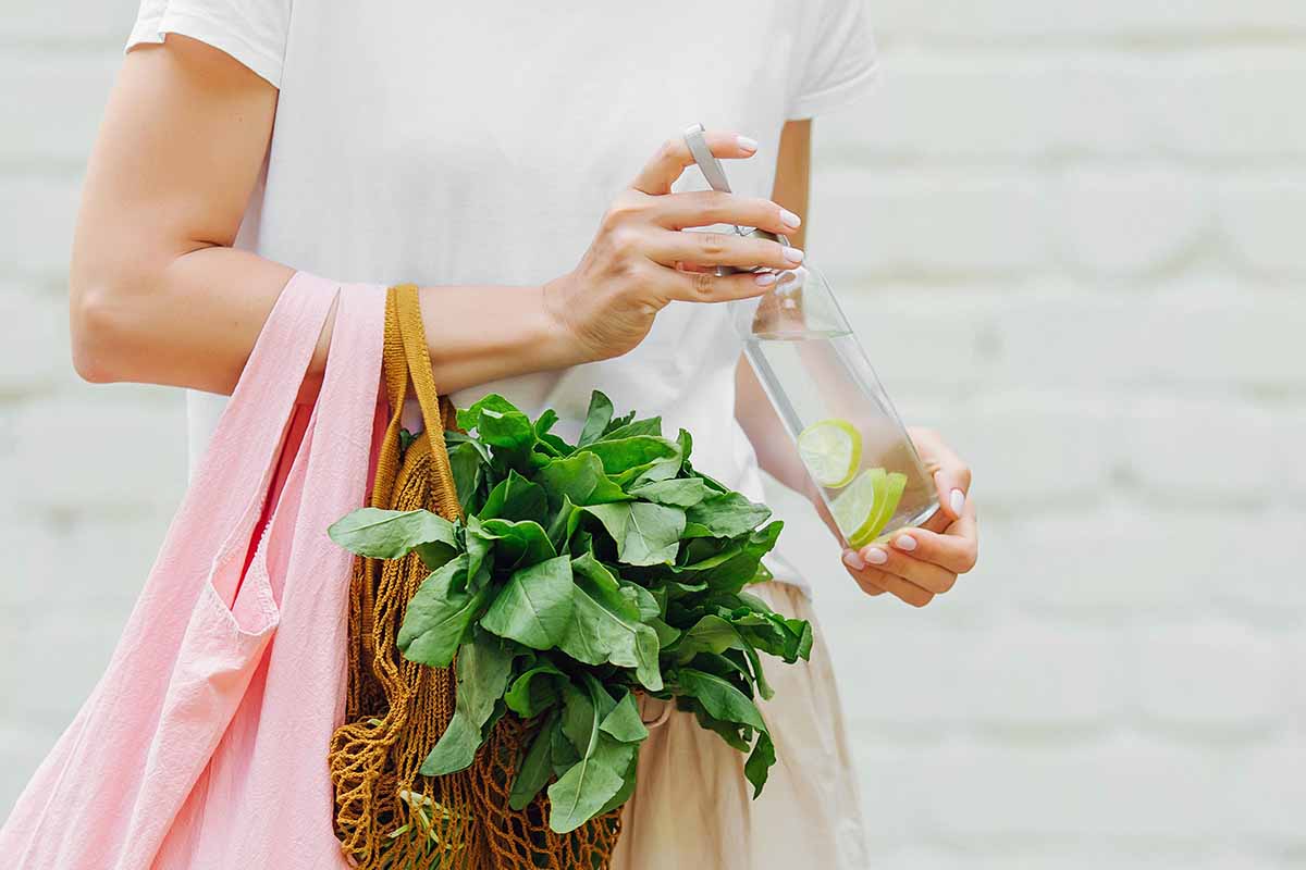 Sinergie sostenibili. Storie di imprenditoria femminile e ecologia