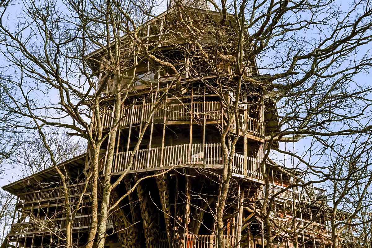 la casa di Horace Burgess in Tennessee è l’edificio sull’albero più grande al mondo