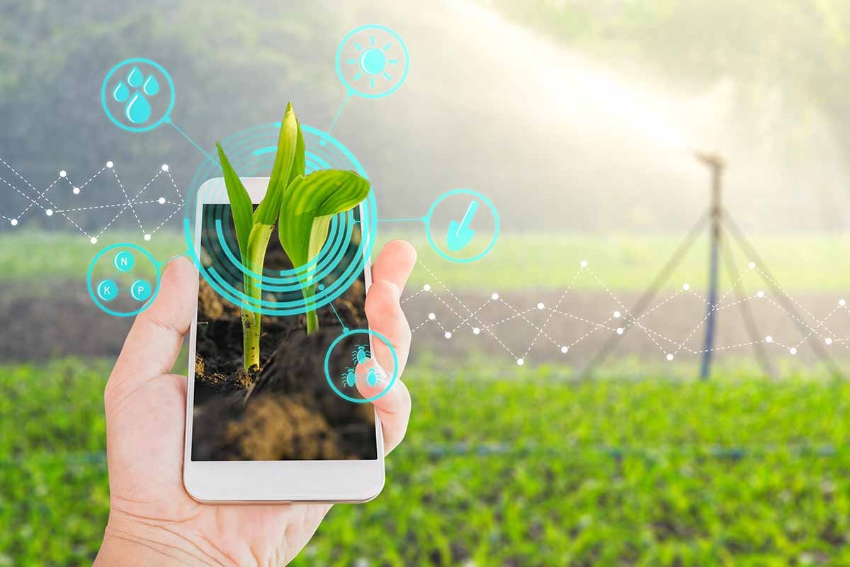 Le iniziative sostenibili nel mondo le app che aiutano l'ambiente