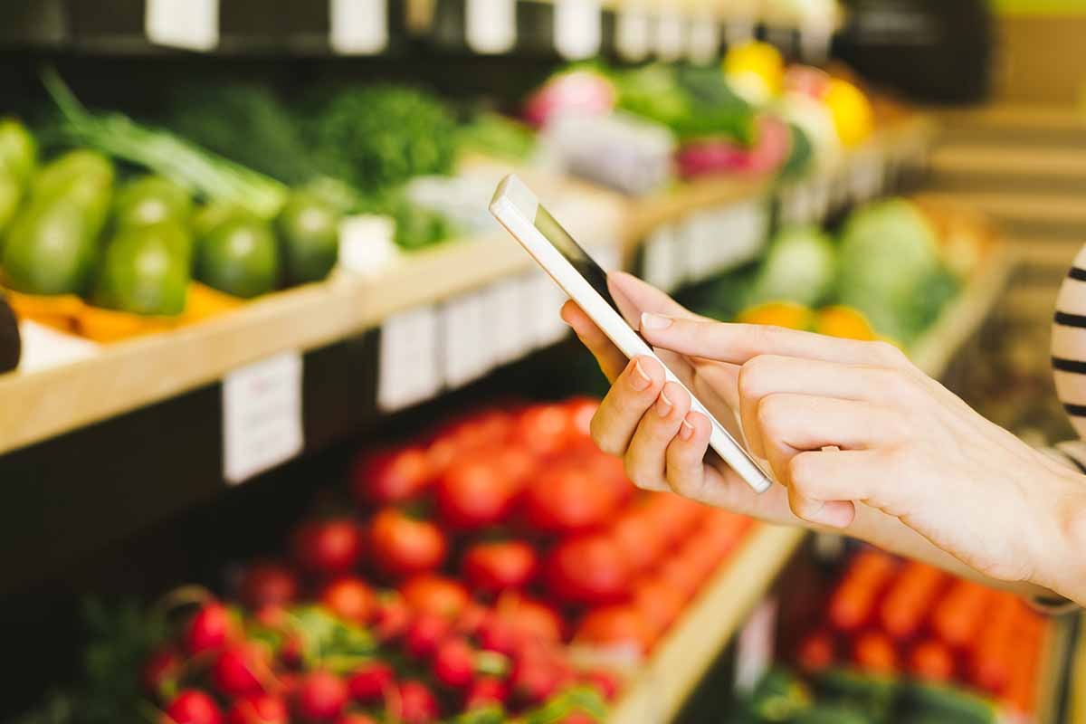 Le iniziative sostenibili nel mondo le app che aiutano l'ambiente