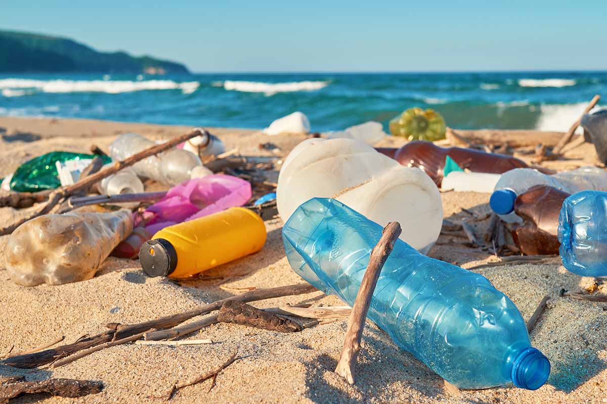 L’isola di Budelli è minacciata dalla plastica