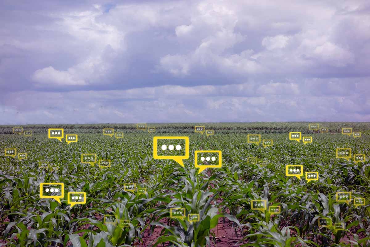 Smart Agriculture coltivazione intelligente e sostenibile con lo IoT