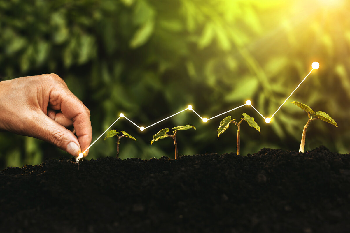 Investimenti green