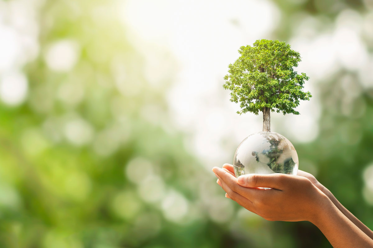 Transizione ecologica: tutto sulle energie rinnovabili