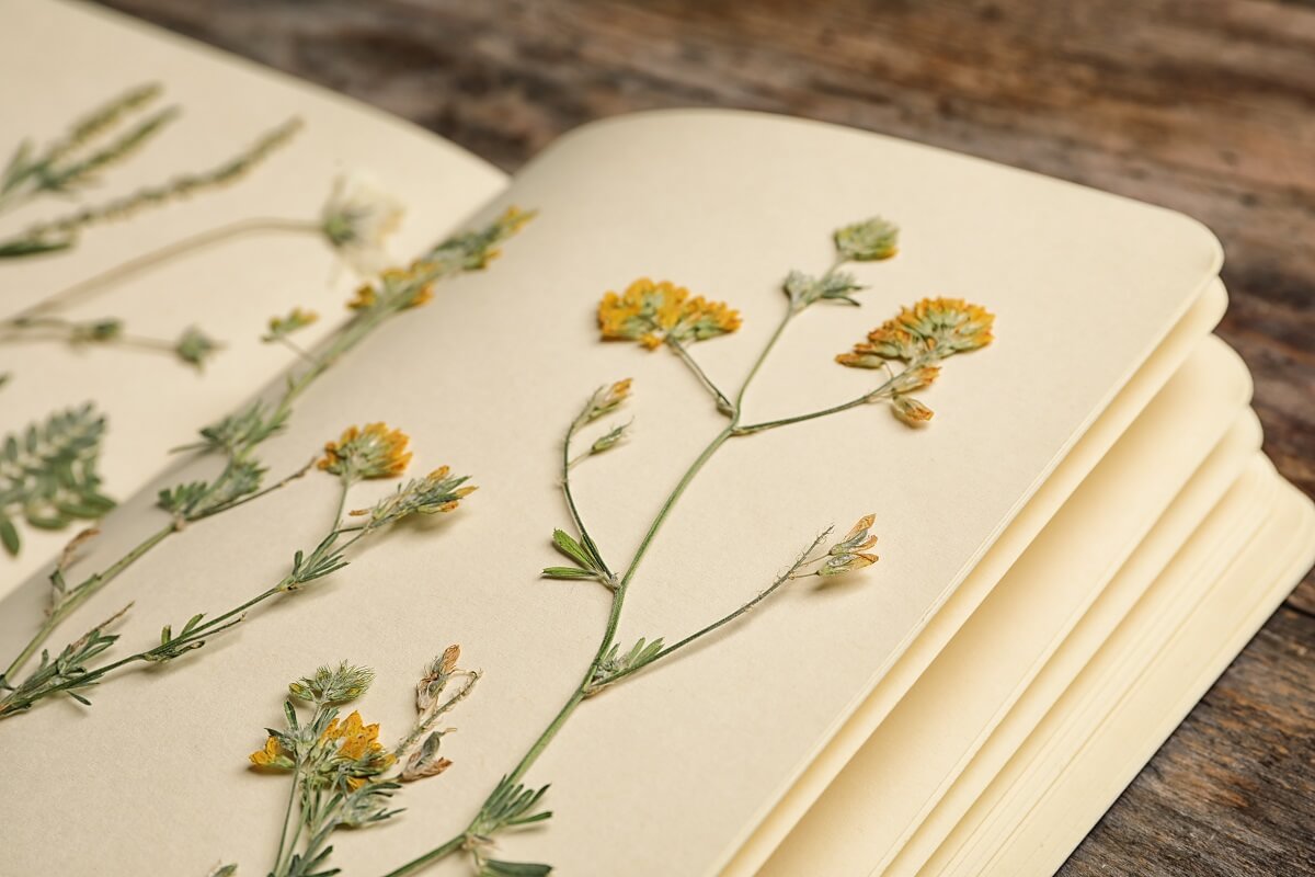 Decorare casa con i fiori secchi