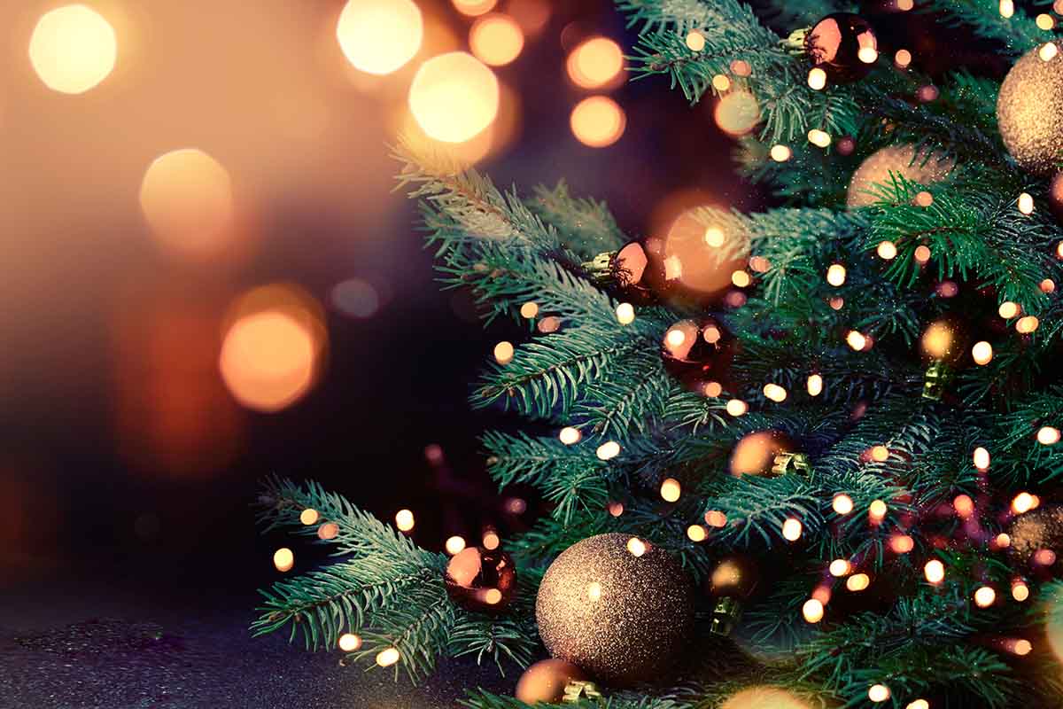 Tante idee per realizzare un albero di Natale sostenibile