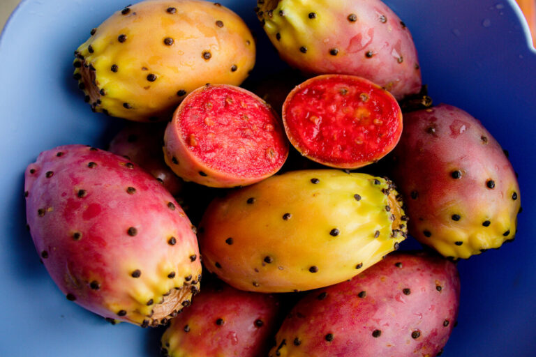 Fichi d'India