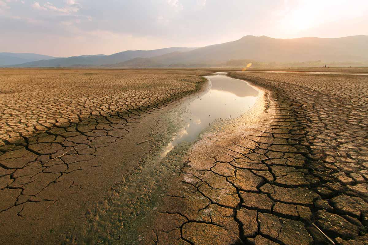 Cambiamenti climatici la situazione Africana
