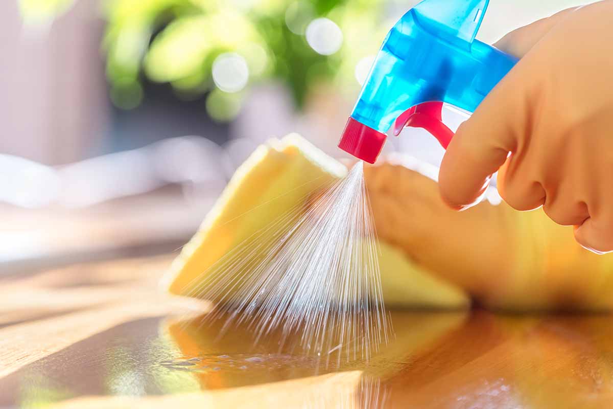 Come organizzare le pulizie di casa