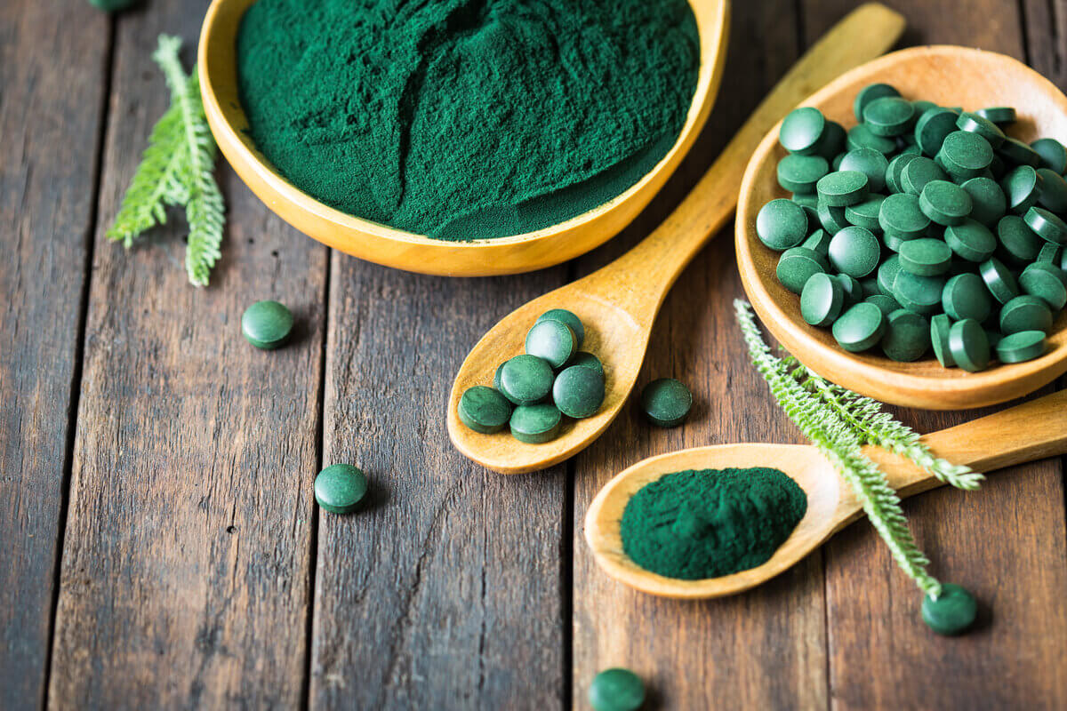 Alga spirulina