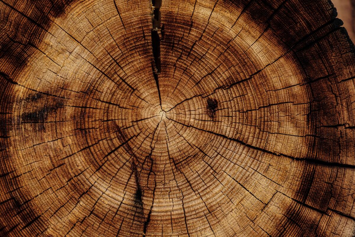 superbonus 110% 2022 case legno ecologiche