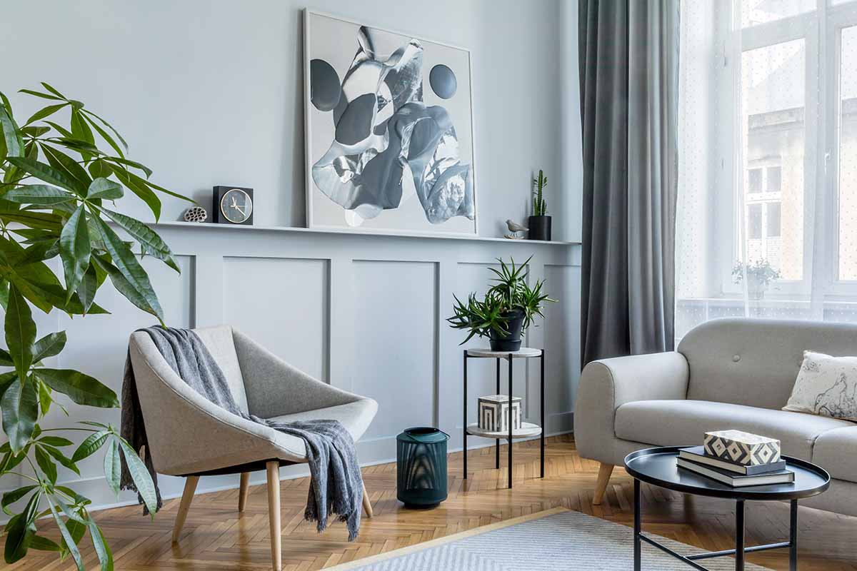 10 piante che cambiano la temperatura di casa