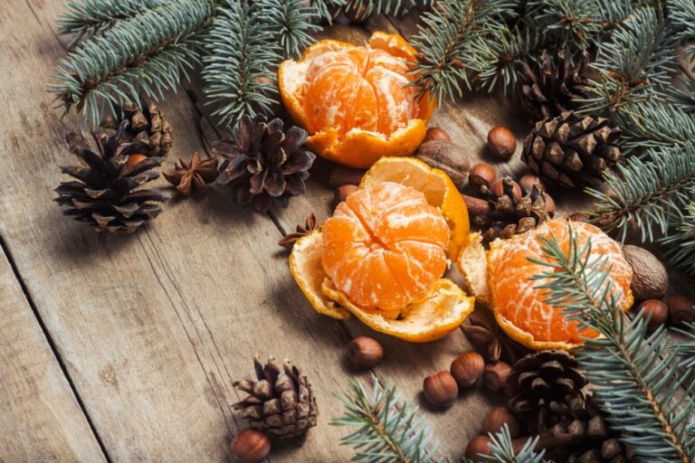 Frutta di dicembre