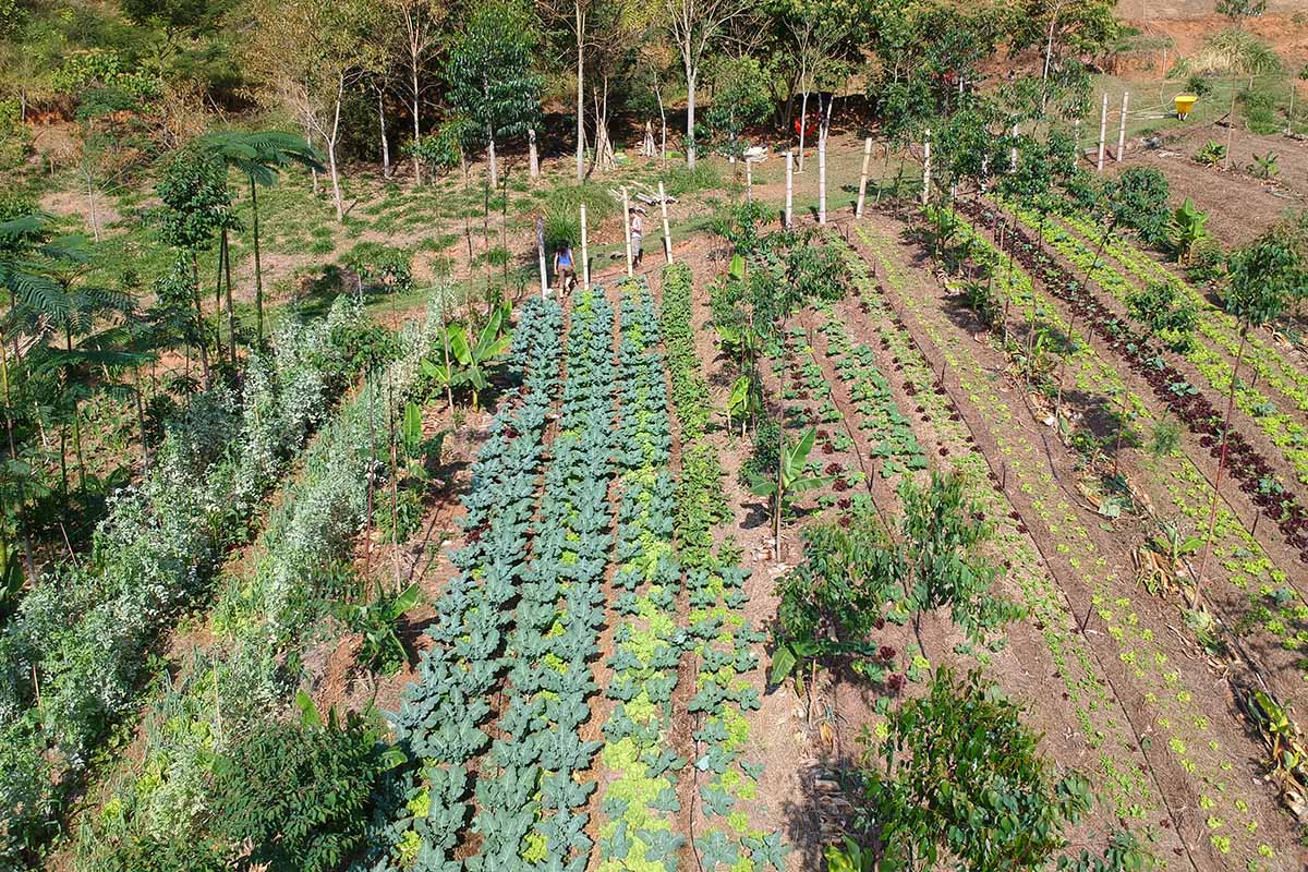 Le iniziative sostenibili nel mondo progetti di agroecologia