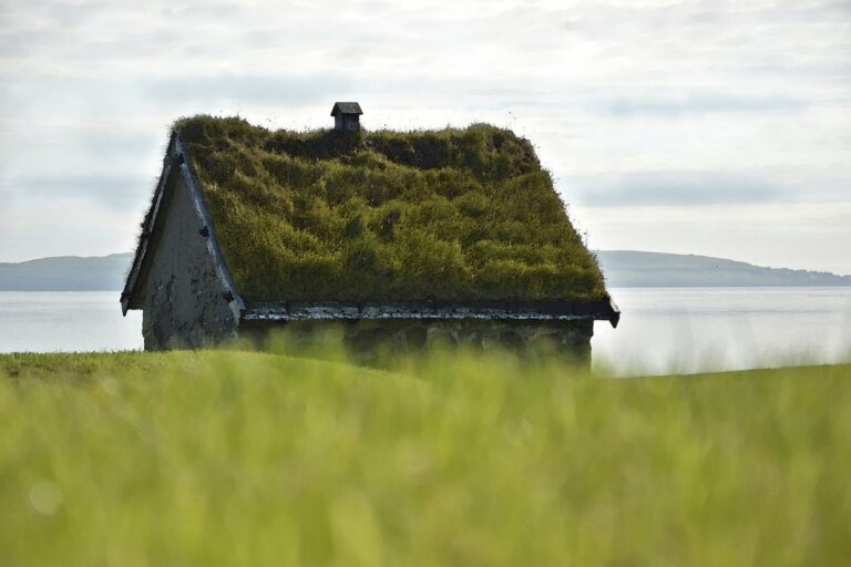 green roof