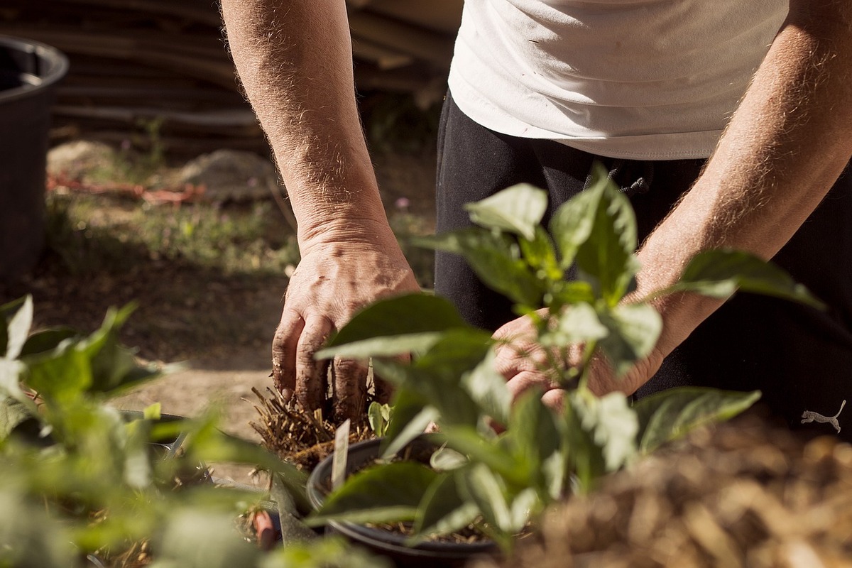 lavori giardino marzo