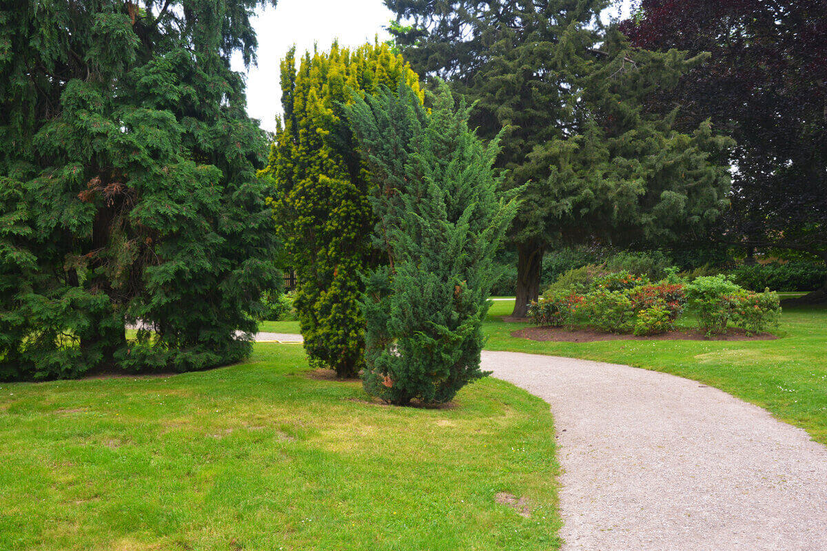 Progettare un giardino