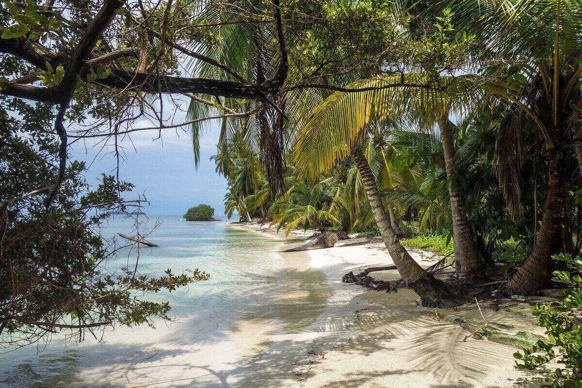 SuperShe Island