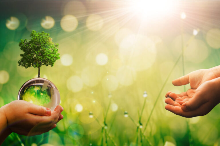 Green transition