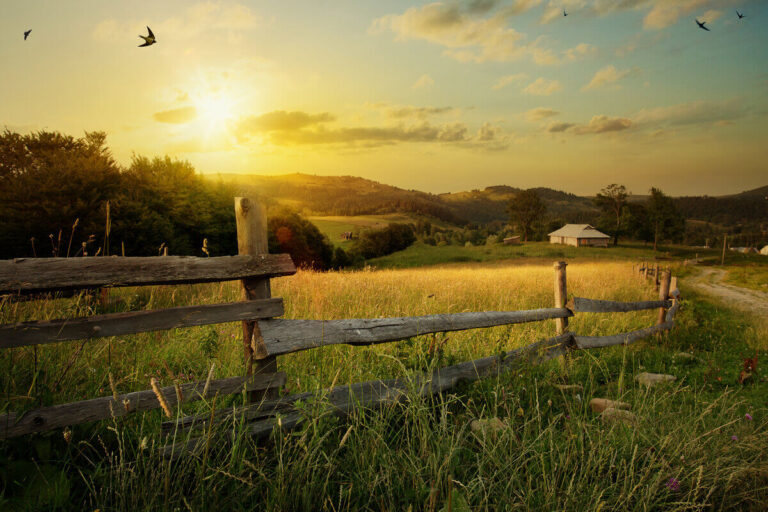 vivere in campagna: