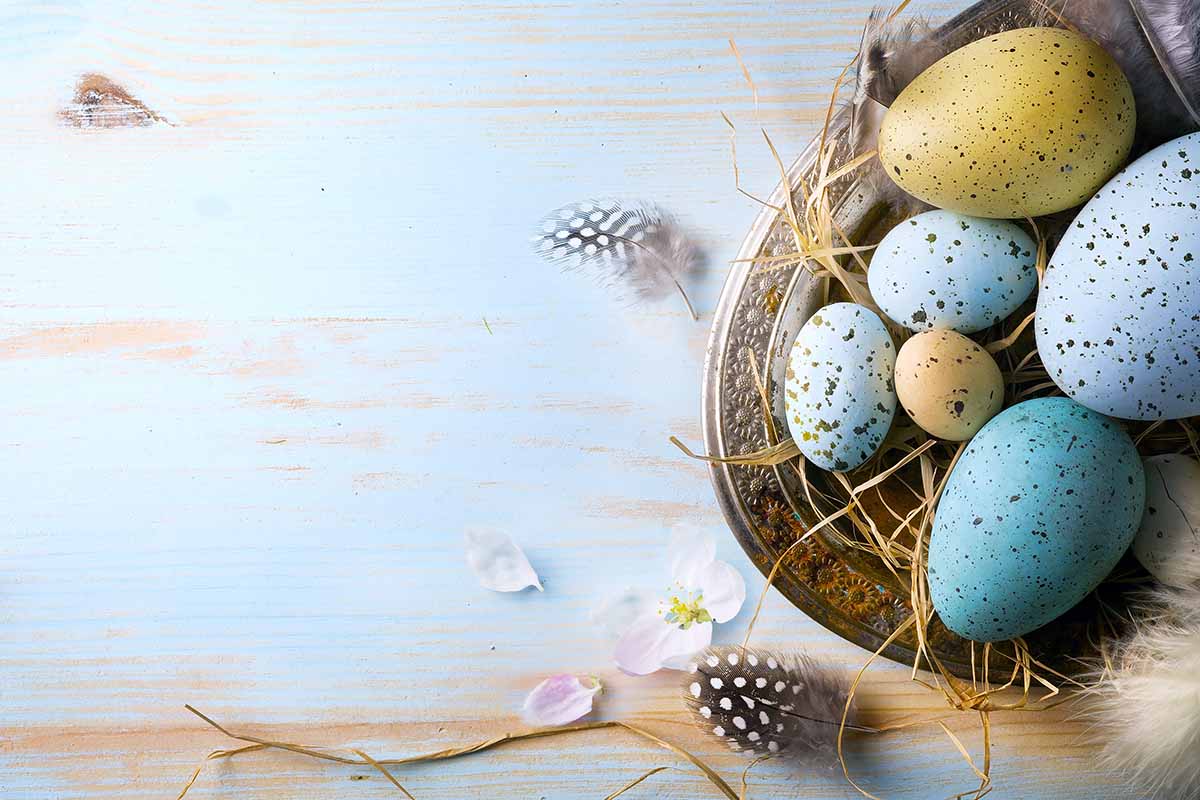 Buona Pasqua in tutte le lingue del mondo
