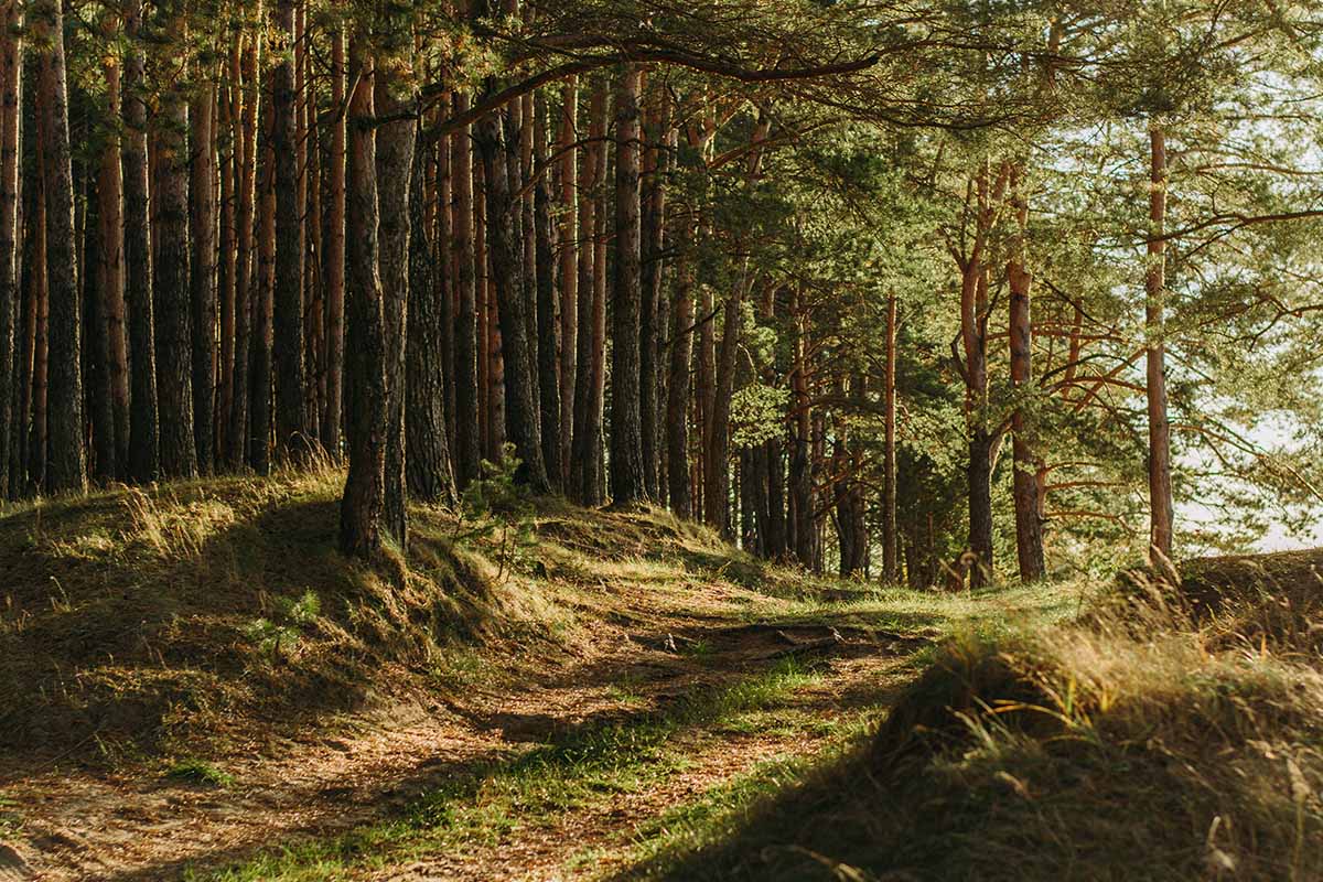 Patrimonio Naturalistico Italia