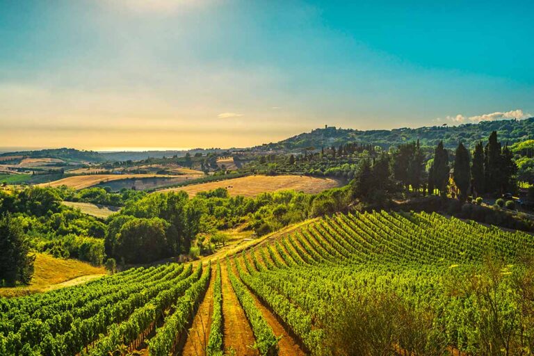 Prodotti biologici in Toscana