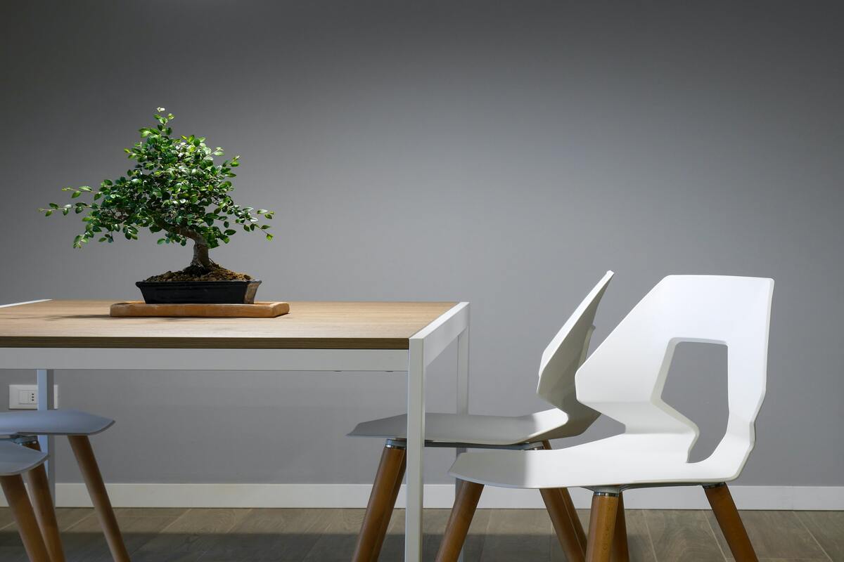 Arredo green in Toscana