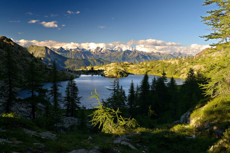 Prodotti biologici in Valle d'Aosta