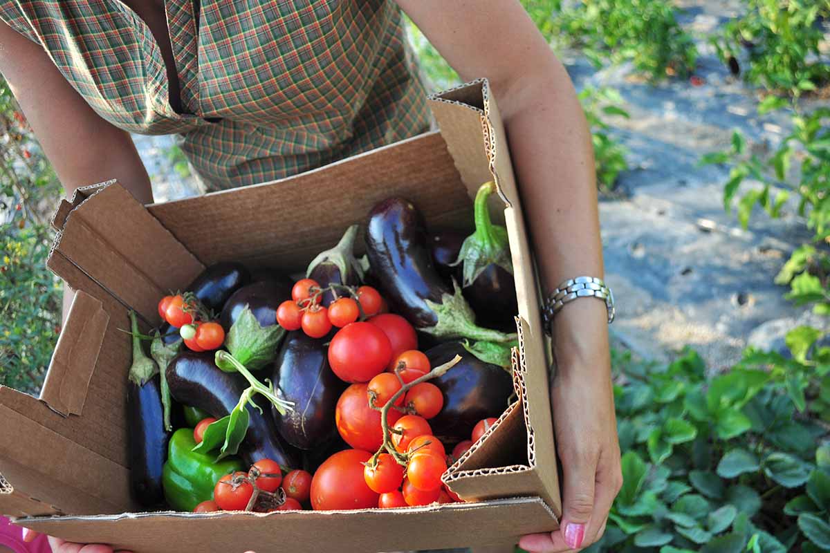 Prodotti biologici in Friuli Venezia Giulia