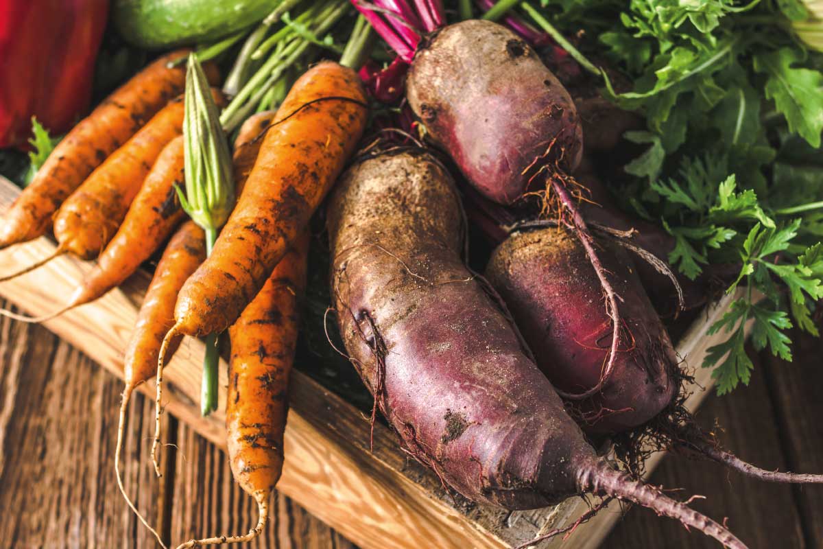 Prodotti biologici in Marche