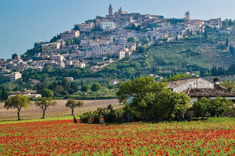 Prodotti biologici in Umbria