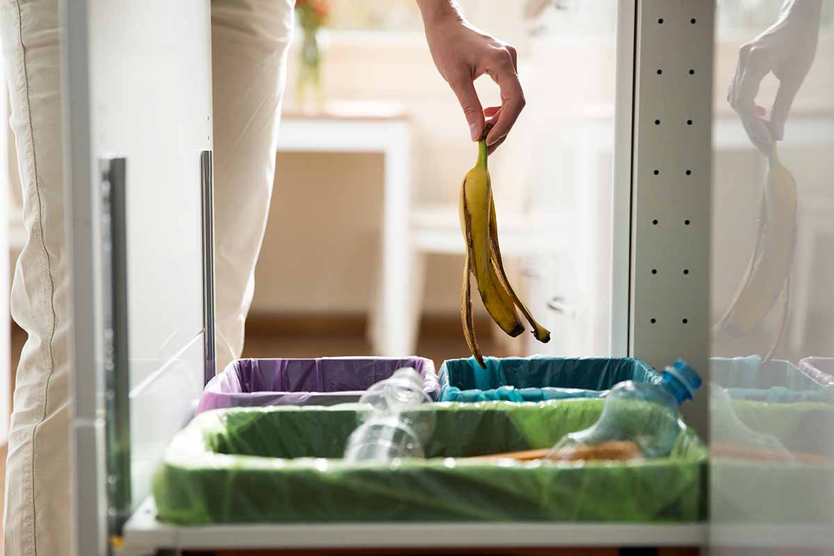 La guida per non commettere errori nella raccolta differenziata
